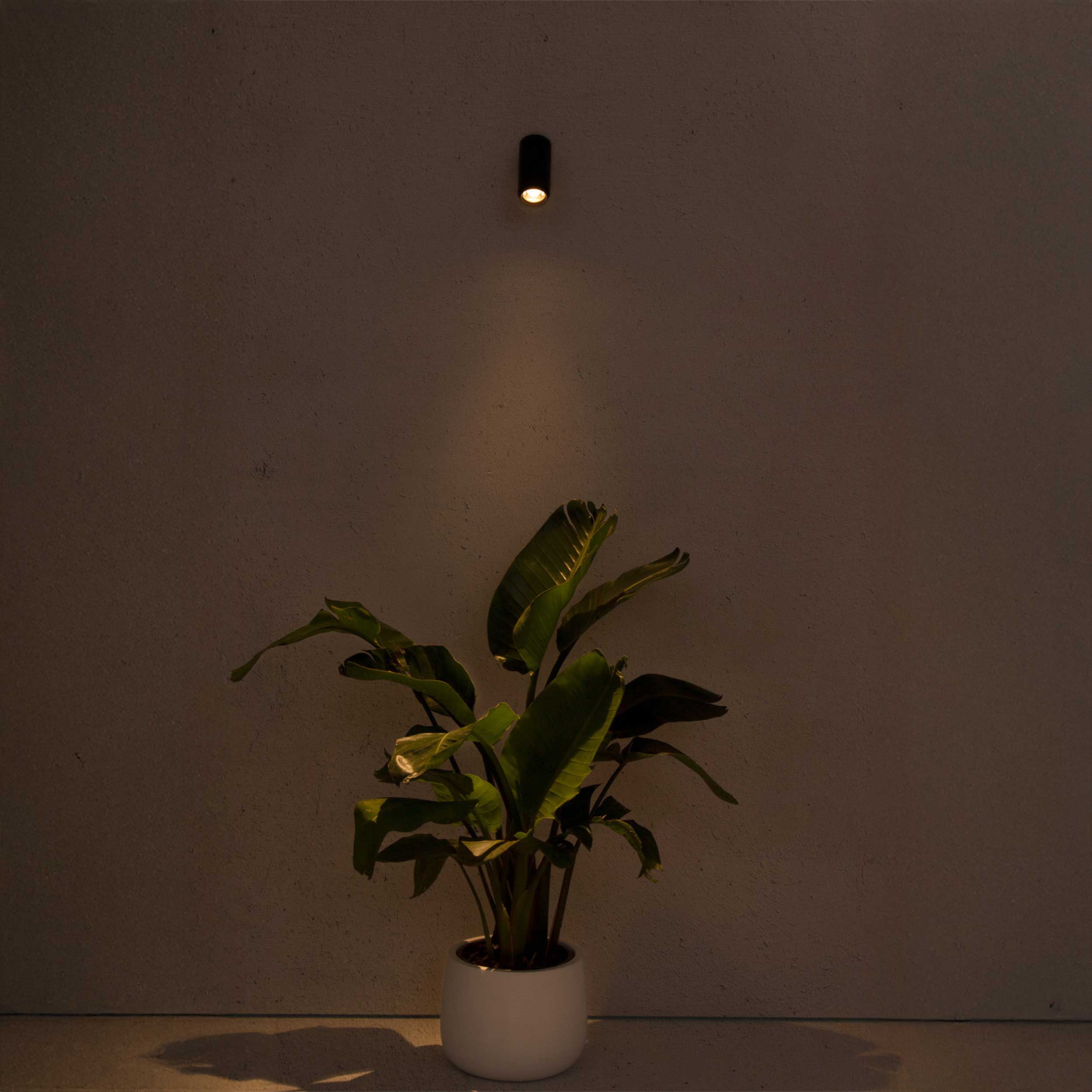 Faro Brume LED glass ceiling light IP44