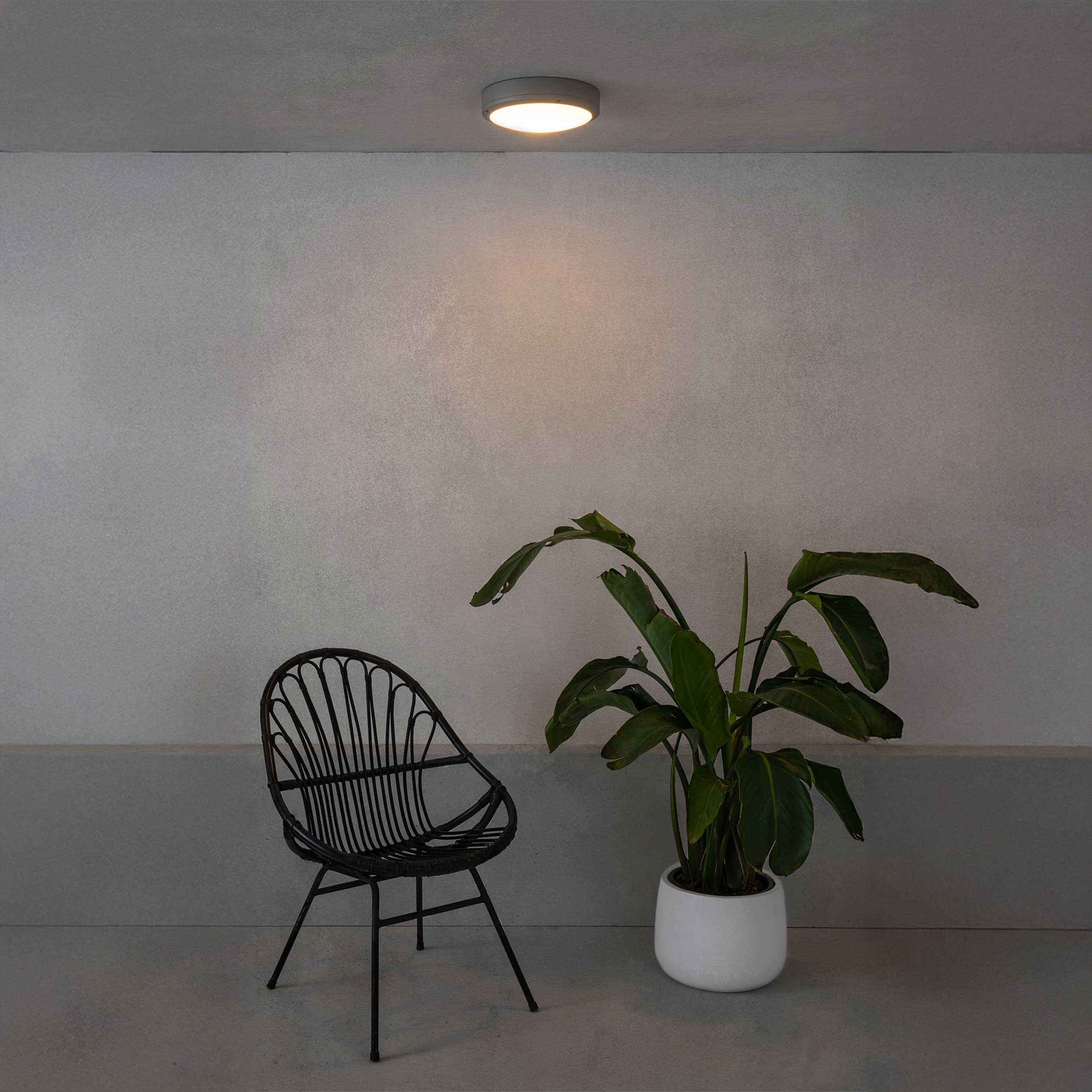 Faro Brume LED glass ceiling light IP44