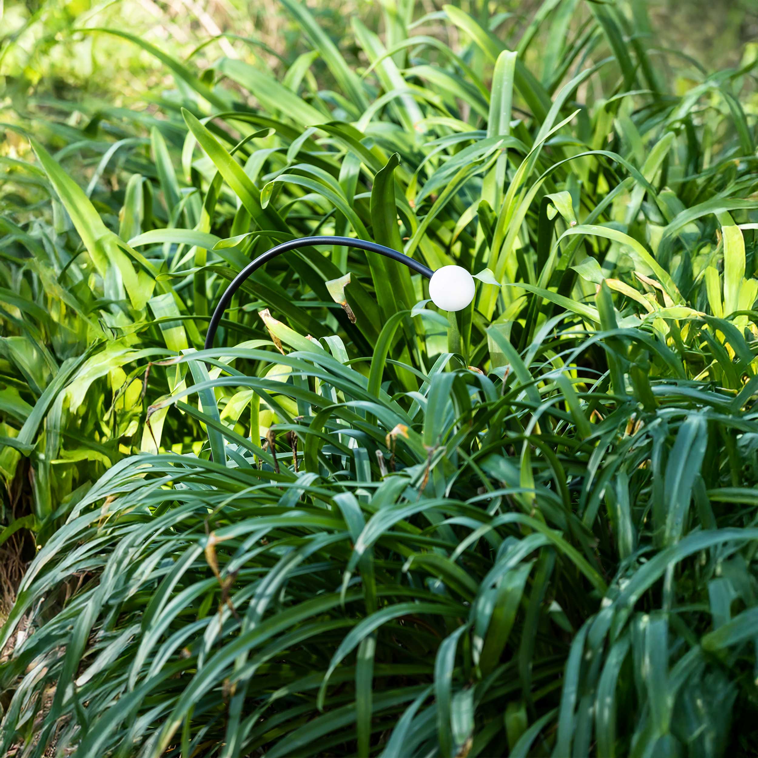 Faro Cuca Außen IP65 220-240V