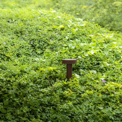 Faro Espot LED  IP65