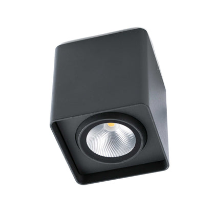 Faro Brume LED glass ceiling light IP44