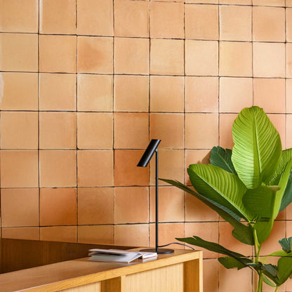 Faro Leo LED-Tischleuchte