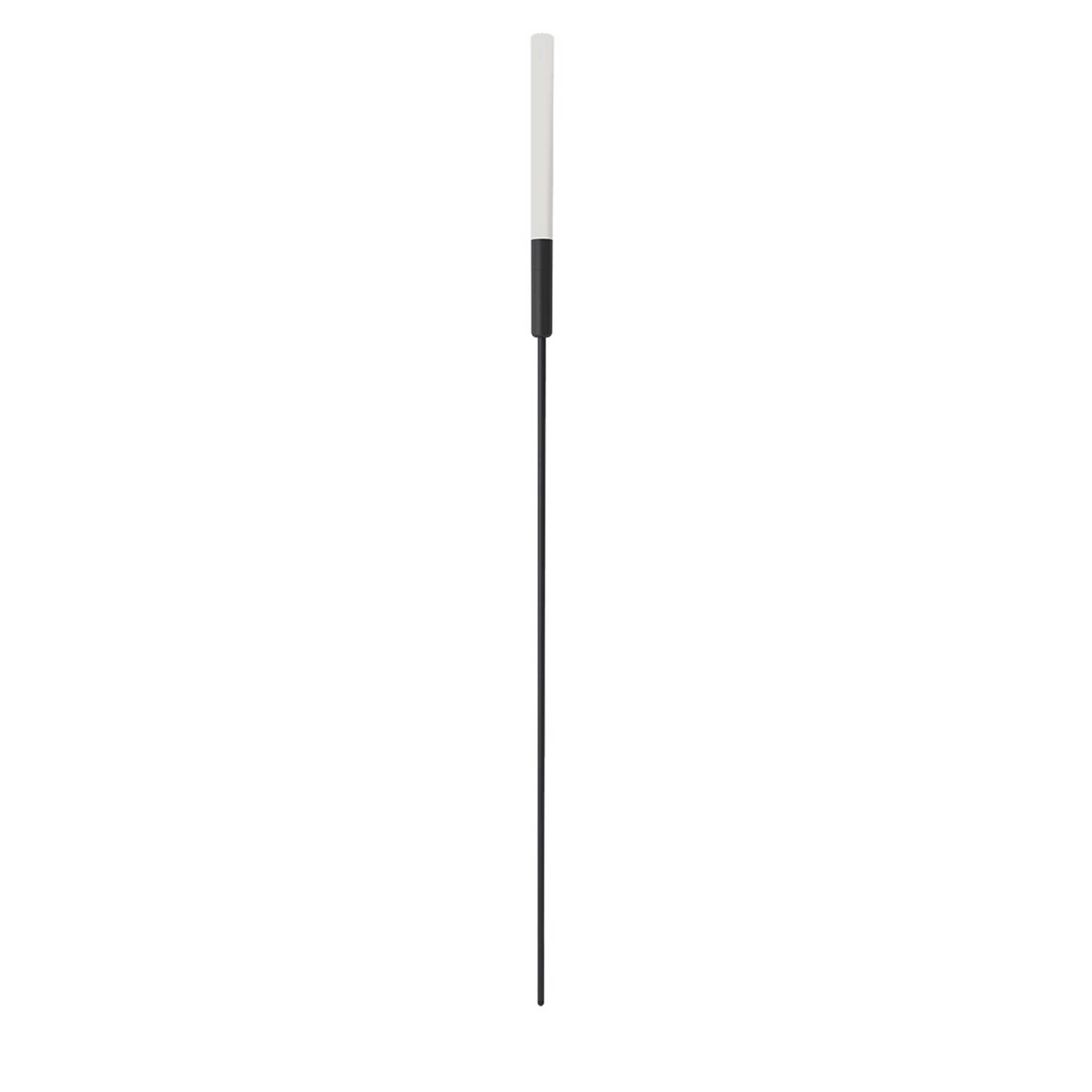 VK Light Mim LED-Mastleuchte  IP65