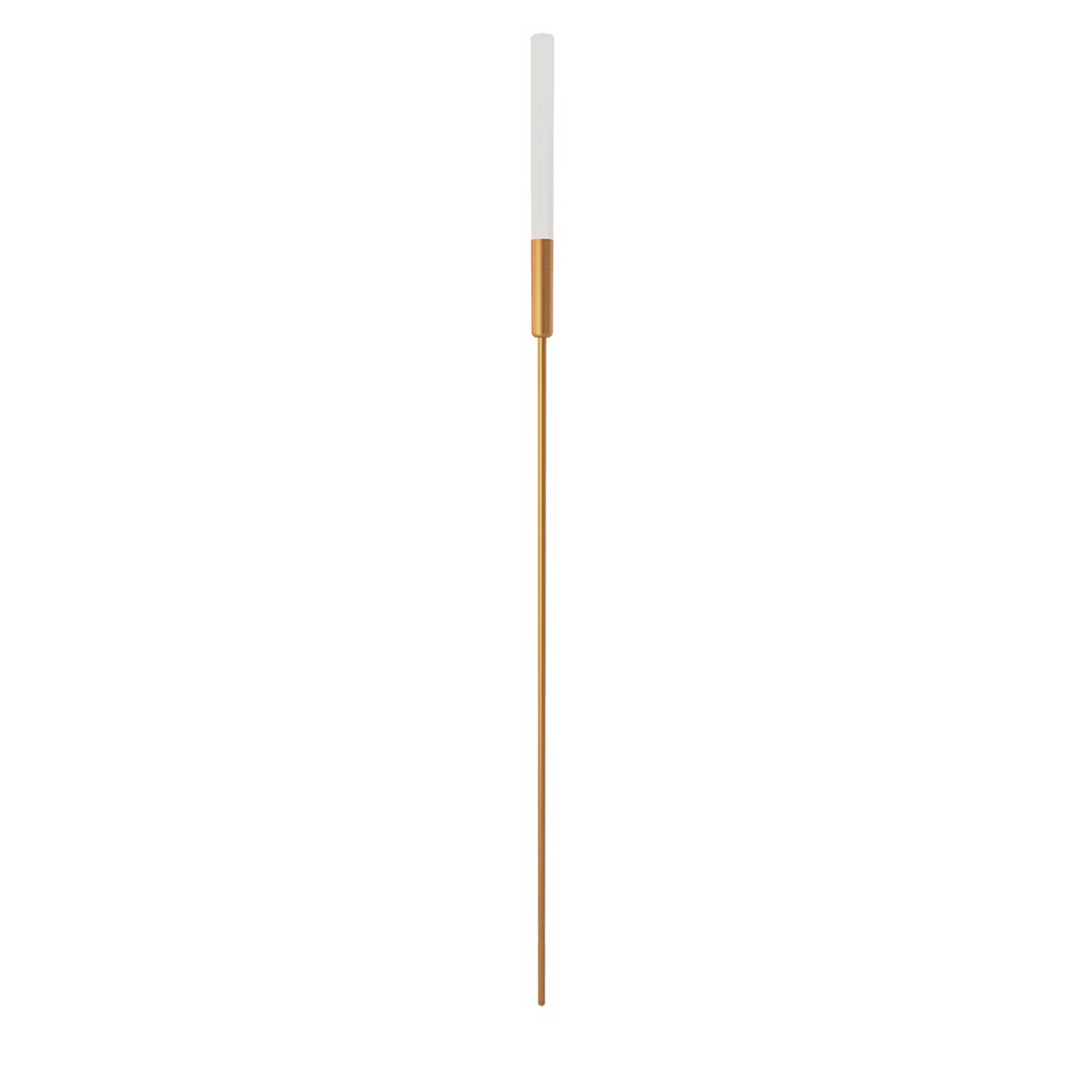 VK Light Mim LED-Mastleuchte  IP65