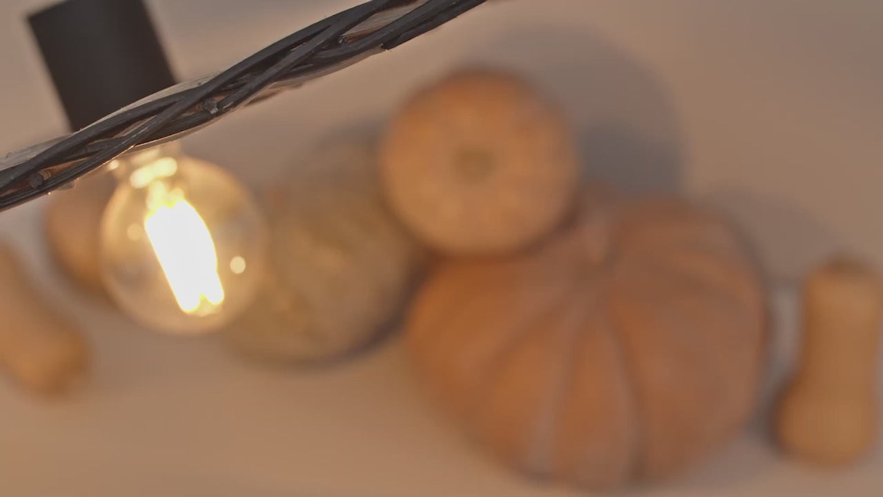 Video laden: Faro Costas